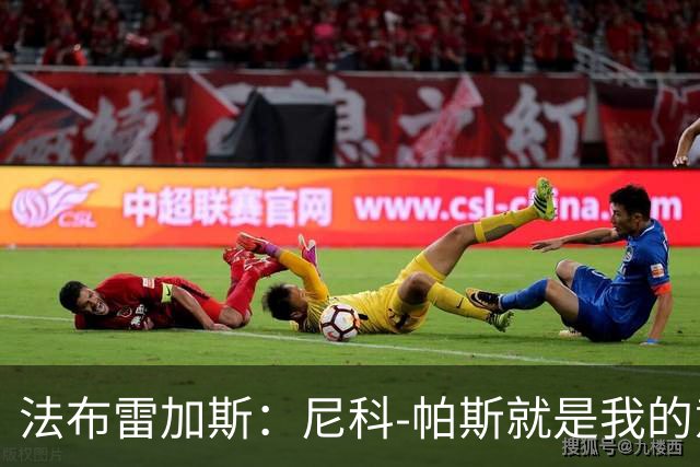 法布雷加斯：尼科-帕斯就是我的意甲冠军